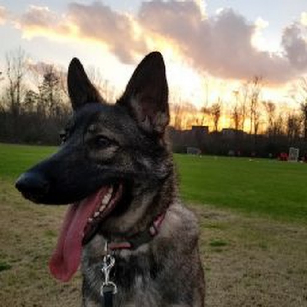 Meet your Posher, Aliecia